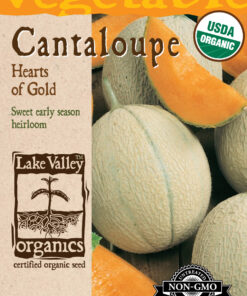 CANTALOUPE Hearts of Gold