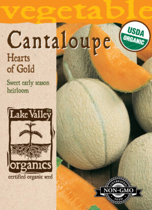 CANTALOUPE Hearts of Gold